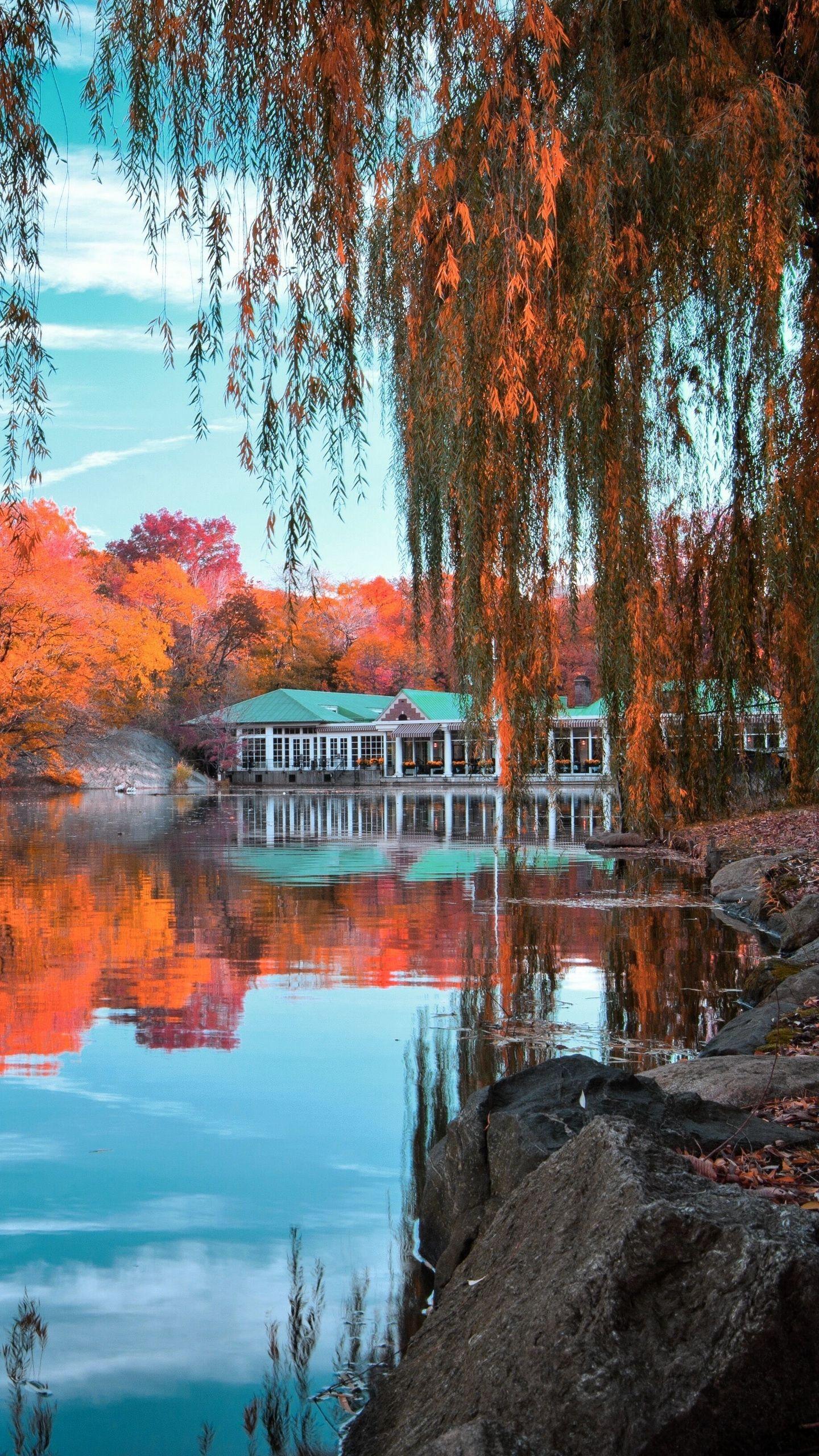 1440x2560 Download wallpaper 1440x2560 central park, new york, autumn