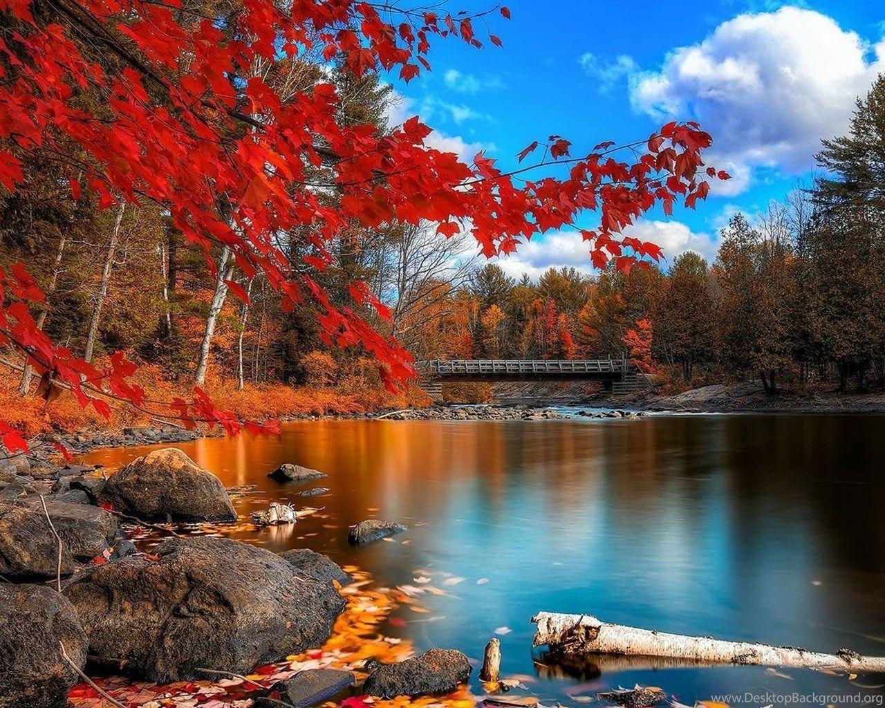 1280x1024 Colorful Autumn Lakeside Trees Wallpaper Nature Wallpaper