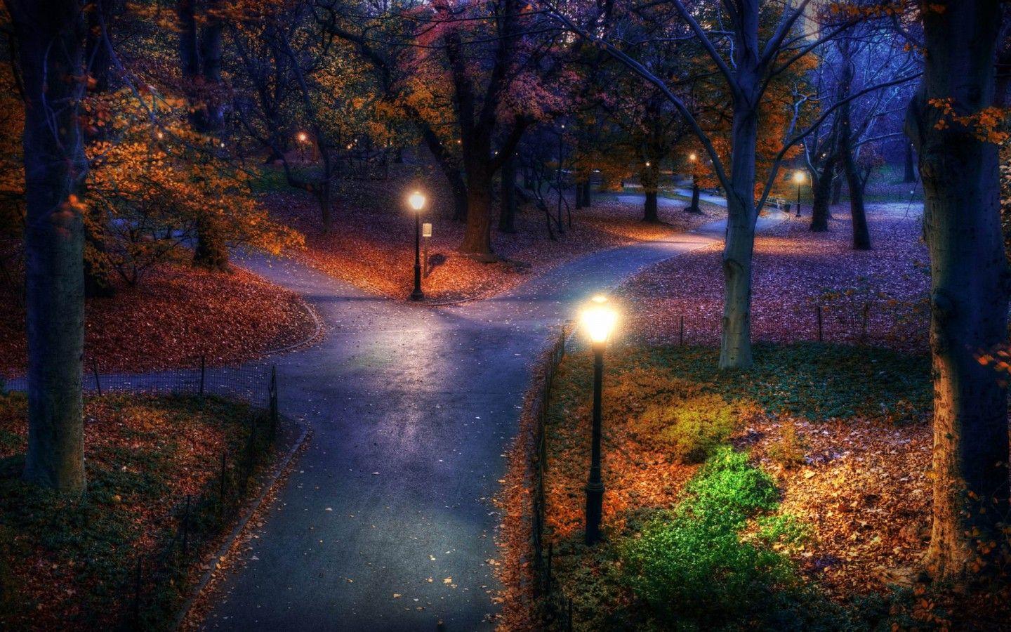 1440x900 Central Park In The Fall Wallpaper 1440x900