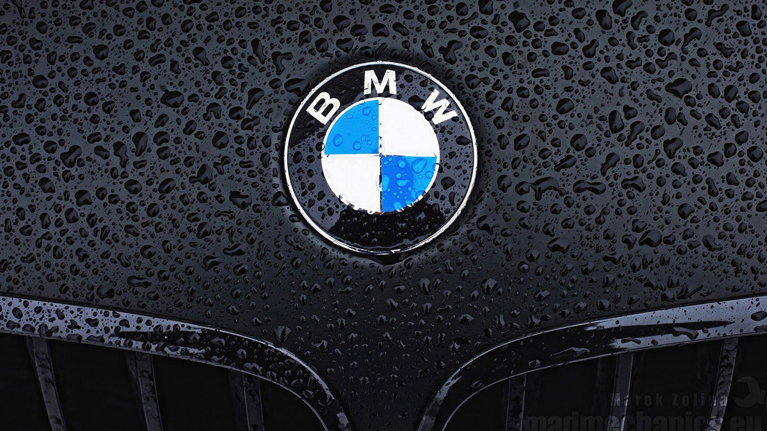 2560x1440 BMW Famous Picture Logo