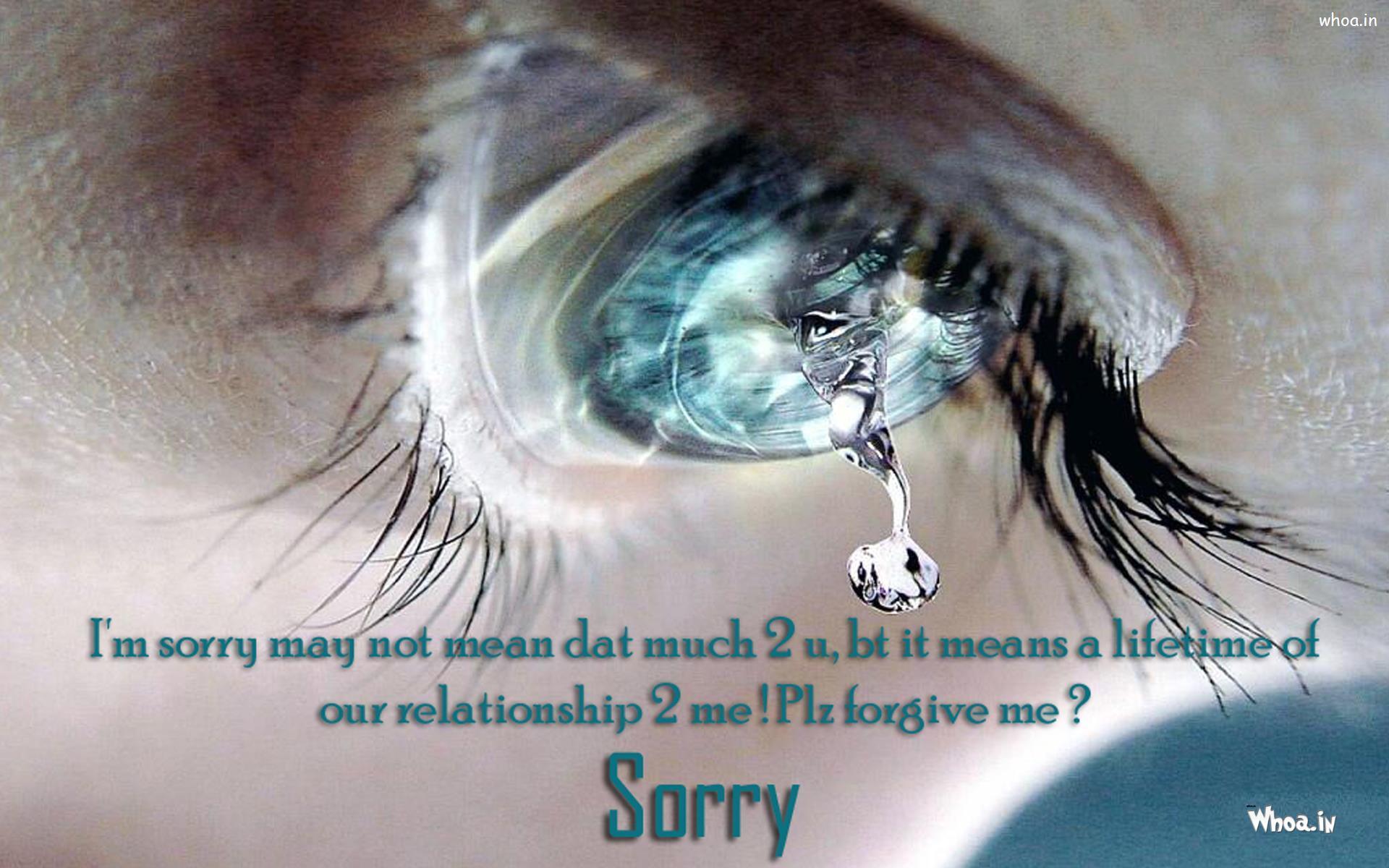 1920x1200 I Am Sorry Wallpaper HD