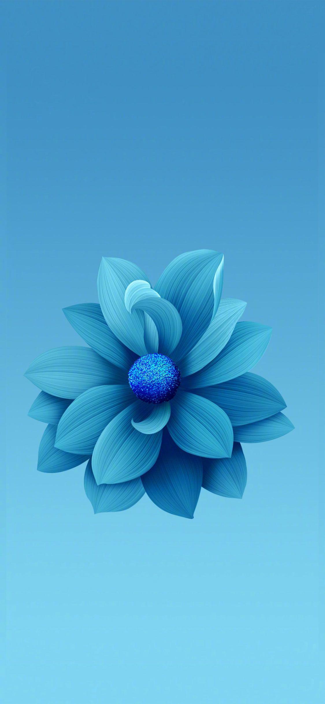 Blue Flower iPhone Wallpapers Top Free Blue Flower iPhone Backgrounds