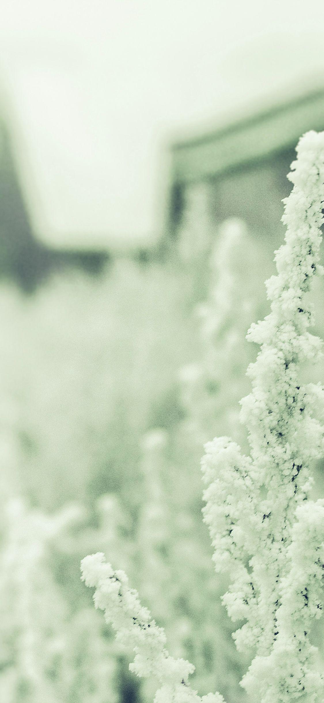 1125x2436 Snow White Winter Flower Blue Green iPhone X Wallpaper Free Download