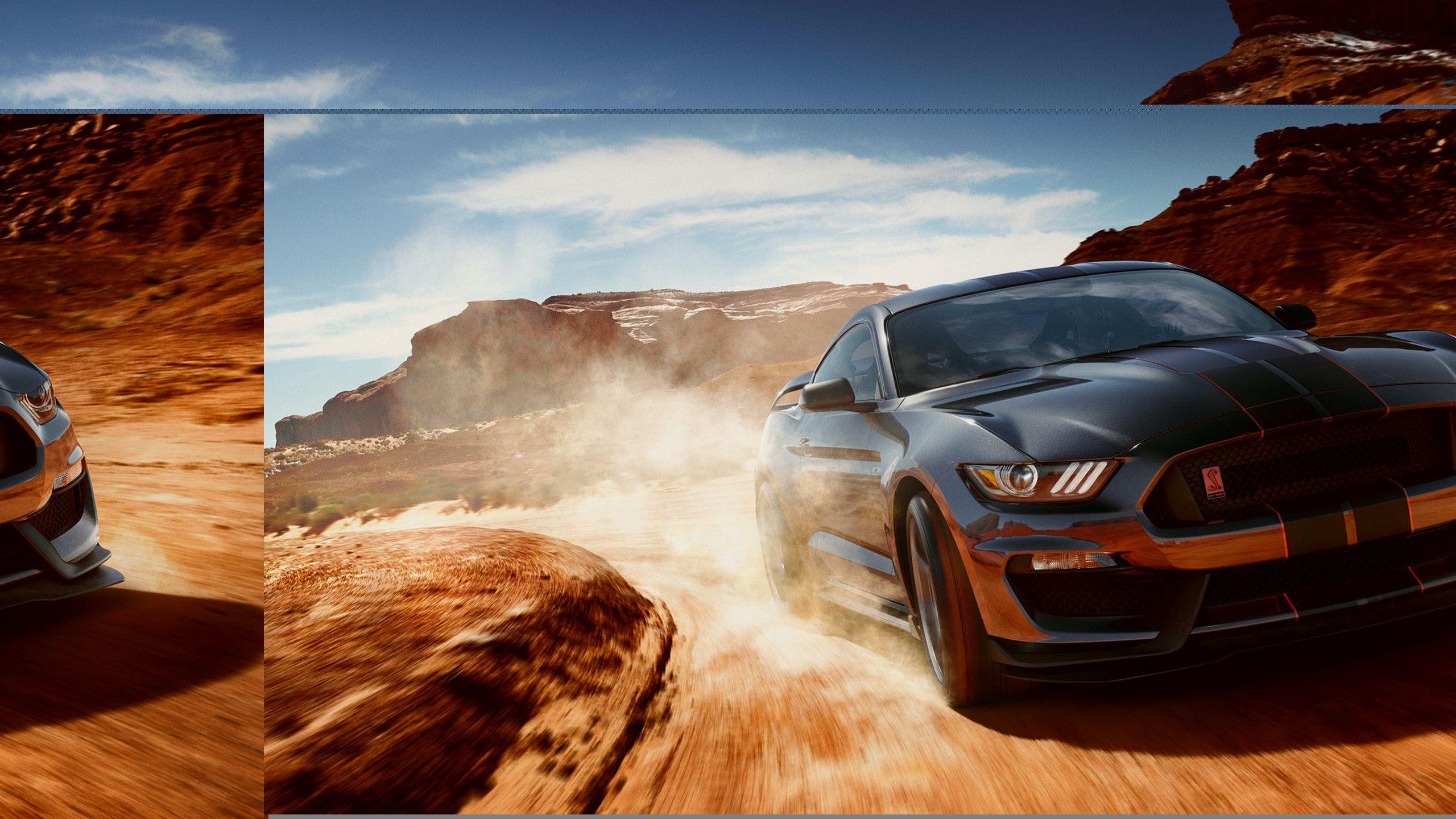 2560x1440 Shelby Gt350 Wallpaper