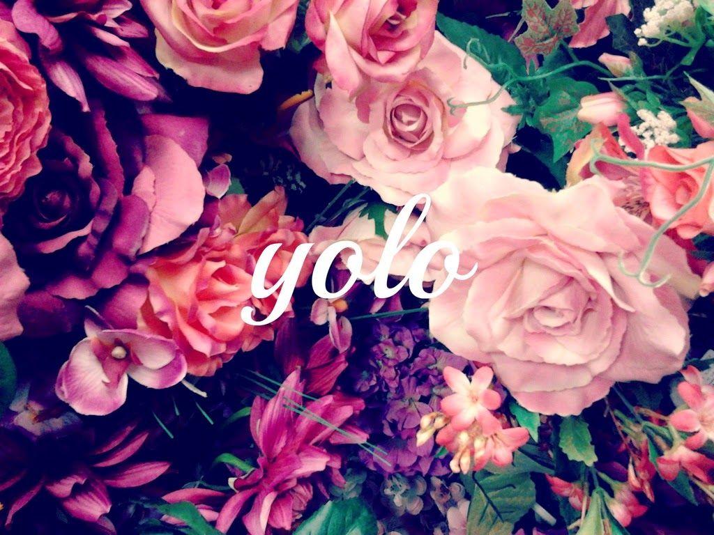 1024x768 Nat IM - Google+