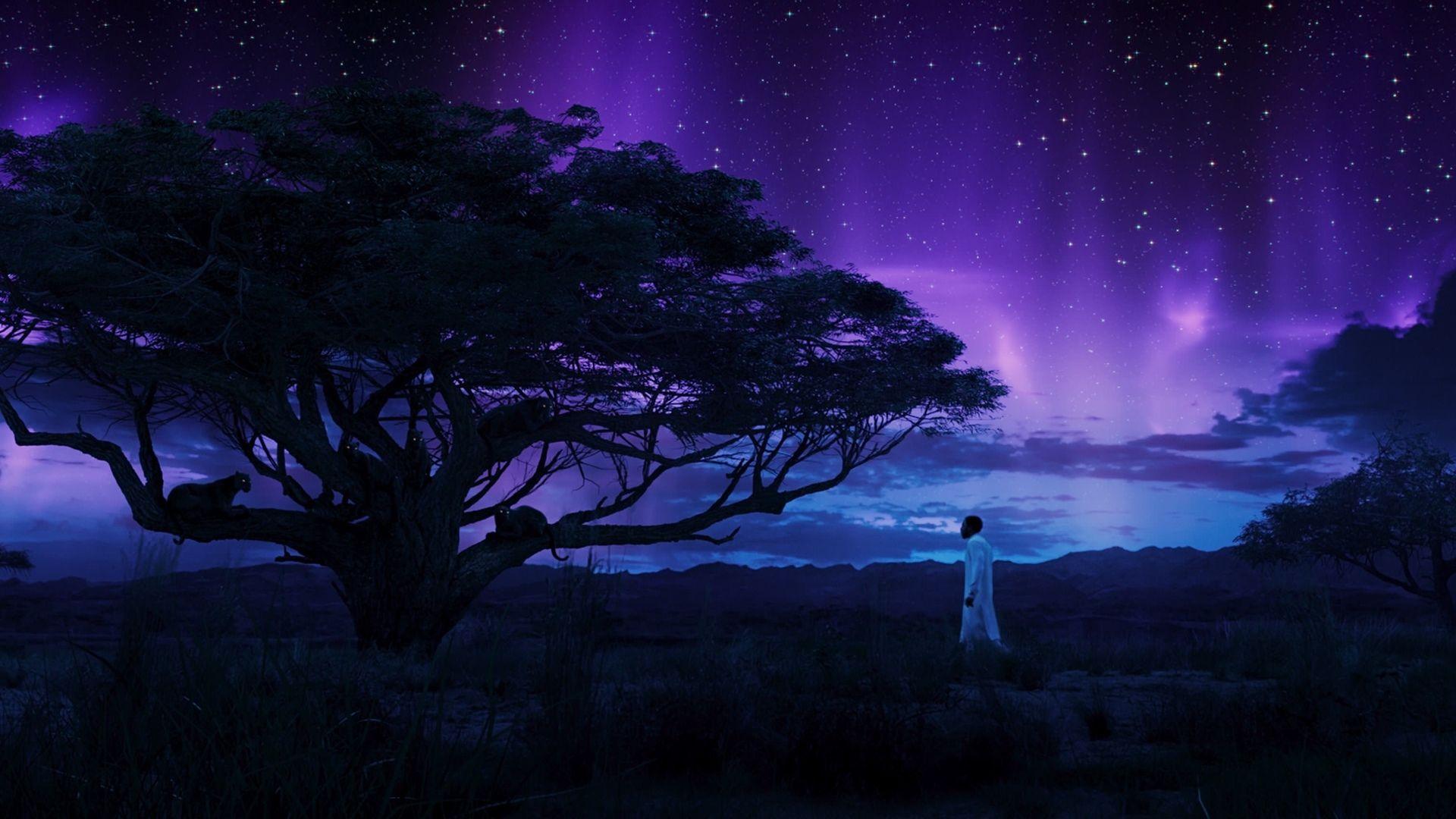 1920x1080 Black Panther Chadwick Boseman In Field With Panthers