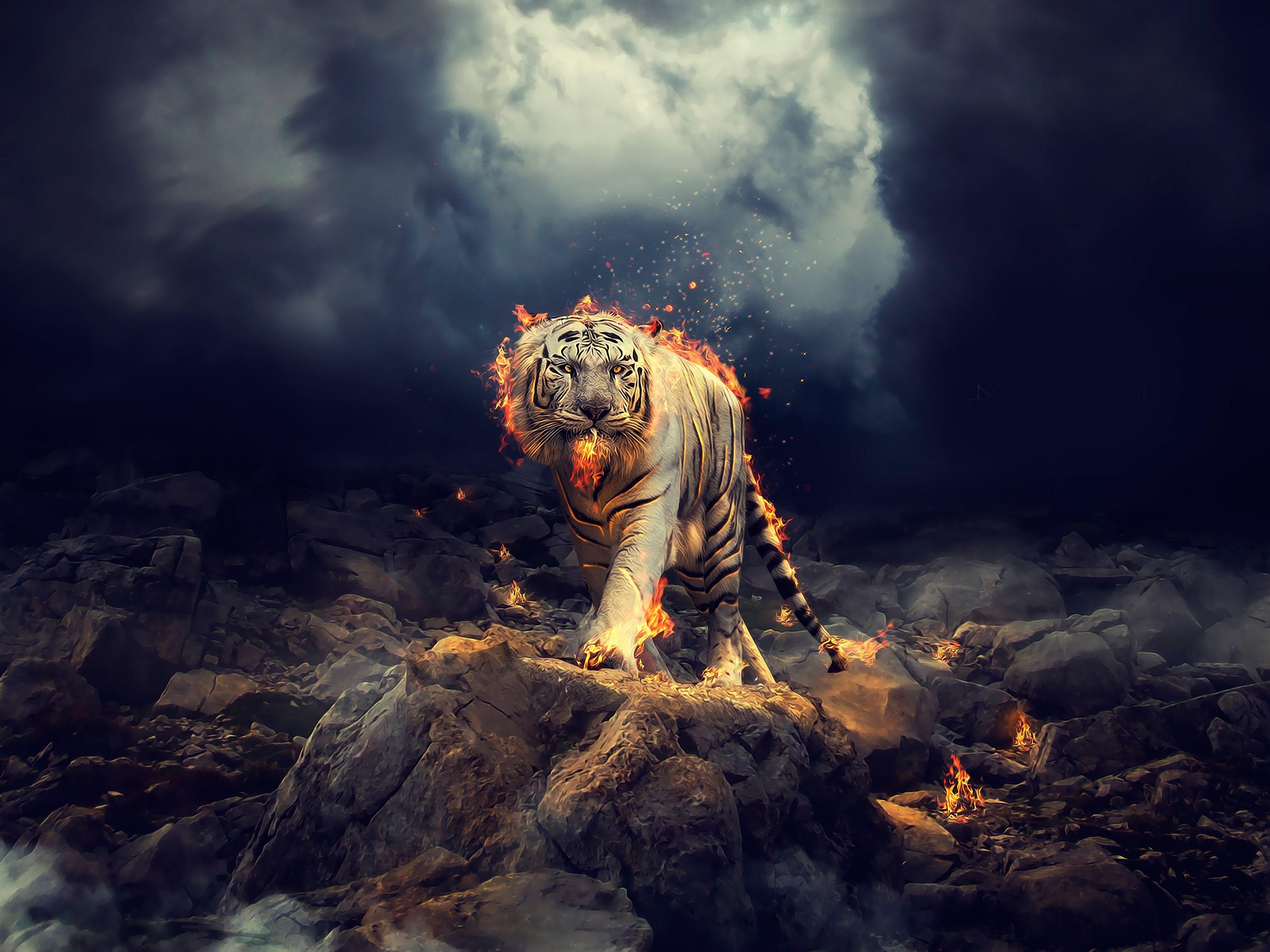 3200x2400 Wallpaper White Tiger, Fire, CGI, HD, Animals,. Wallpaper