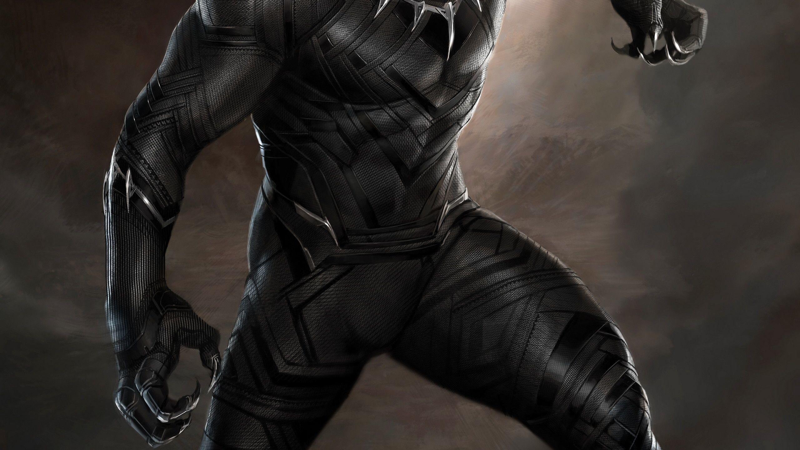 2560x1440 Marvel Black Panther Wallpaper HD