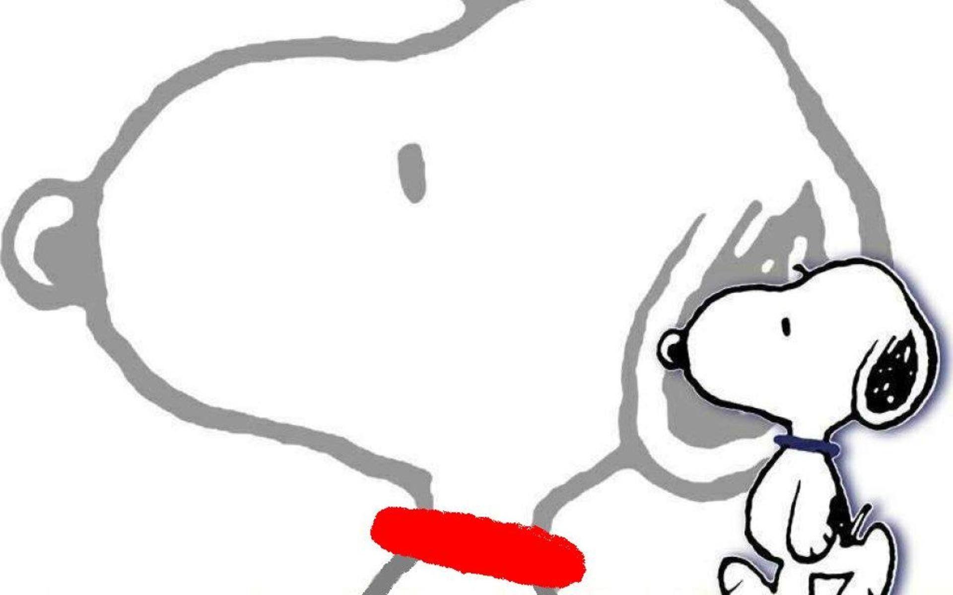 1920x1200 Snoopy HD Wallpaper and Background Image