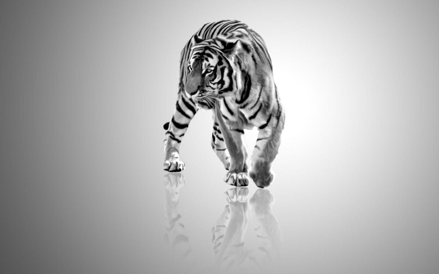 1440x900 White Tiger Wallpaper HD