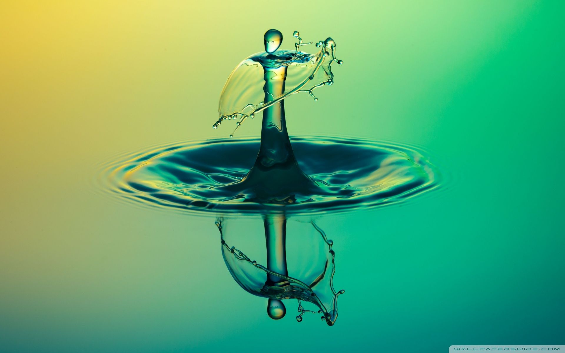 1920x1200 High Speed Photography 4K UHD Wallpaper for UltraHD Desktop and TV : Widescreen and UltraWide Display : Dual Monitor : Smartphone and Tablet Devices