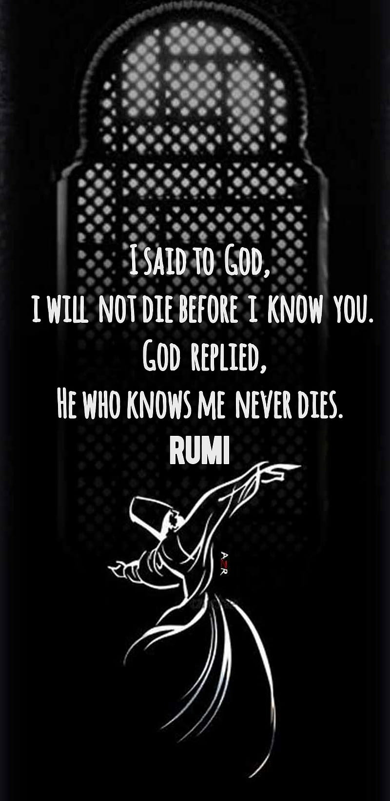 800x1643 HD rumi wallpaper