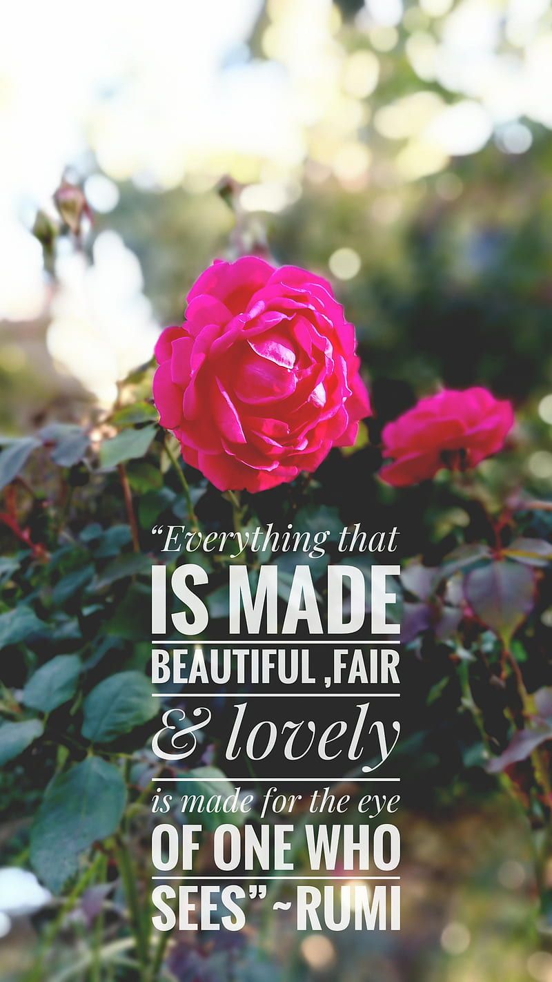 800x1422 Rumi quote, roses, flowers, rose, rumi, quote, HD phone wallpaper