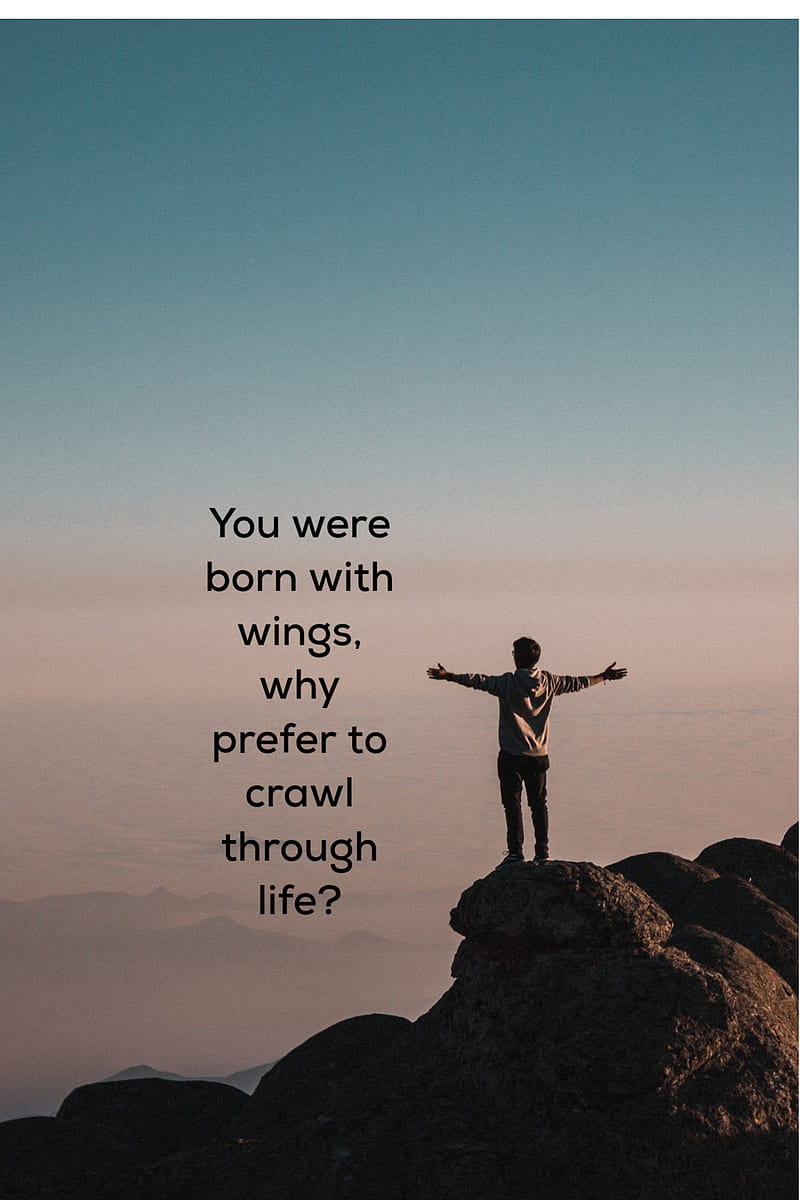 800x1200 HD rumi quotes wallpaper