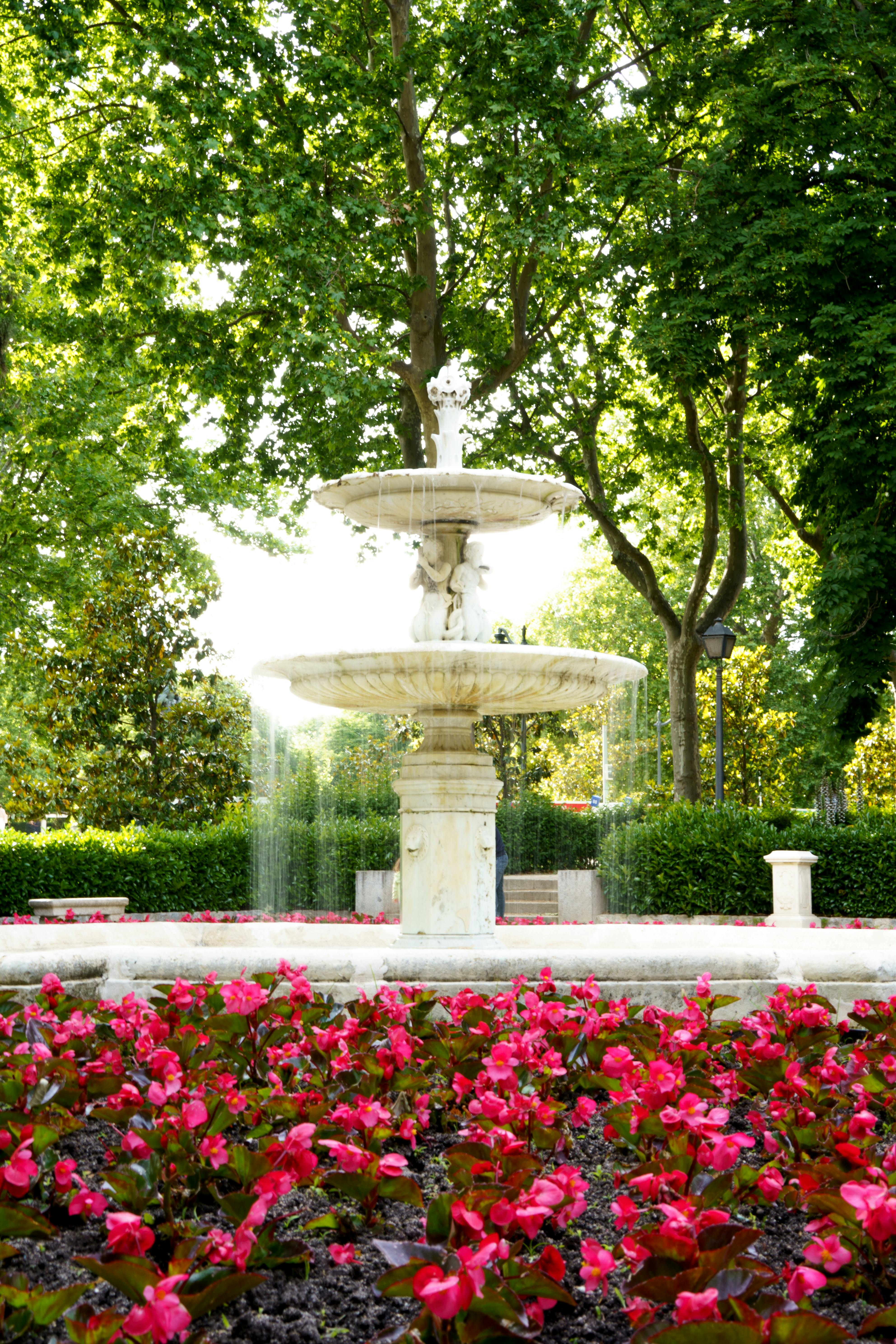 3969x5954 Flowers and Fountain in Retiro Park in Madrid · Free