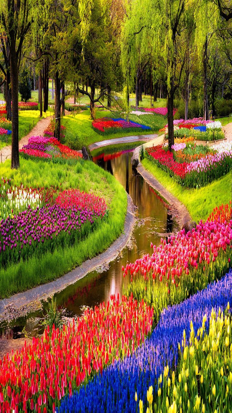 800x1422 Flower Garden, look, nice, HD phone wallpaper