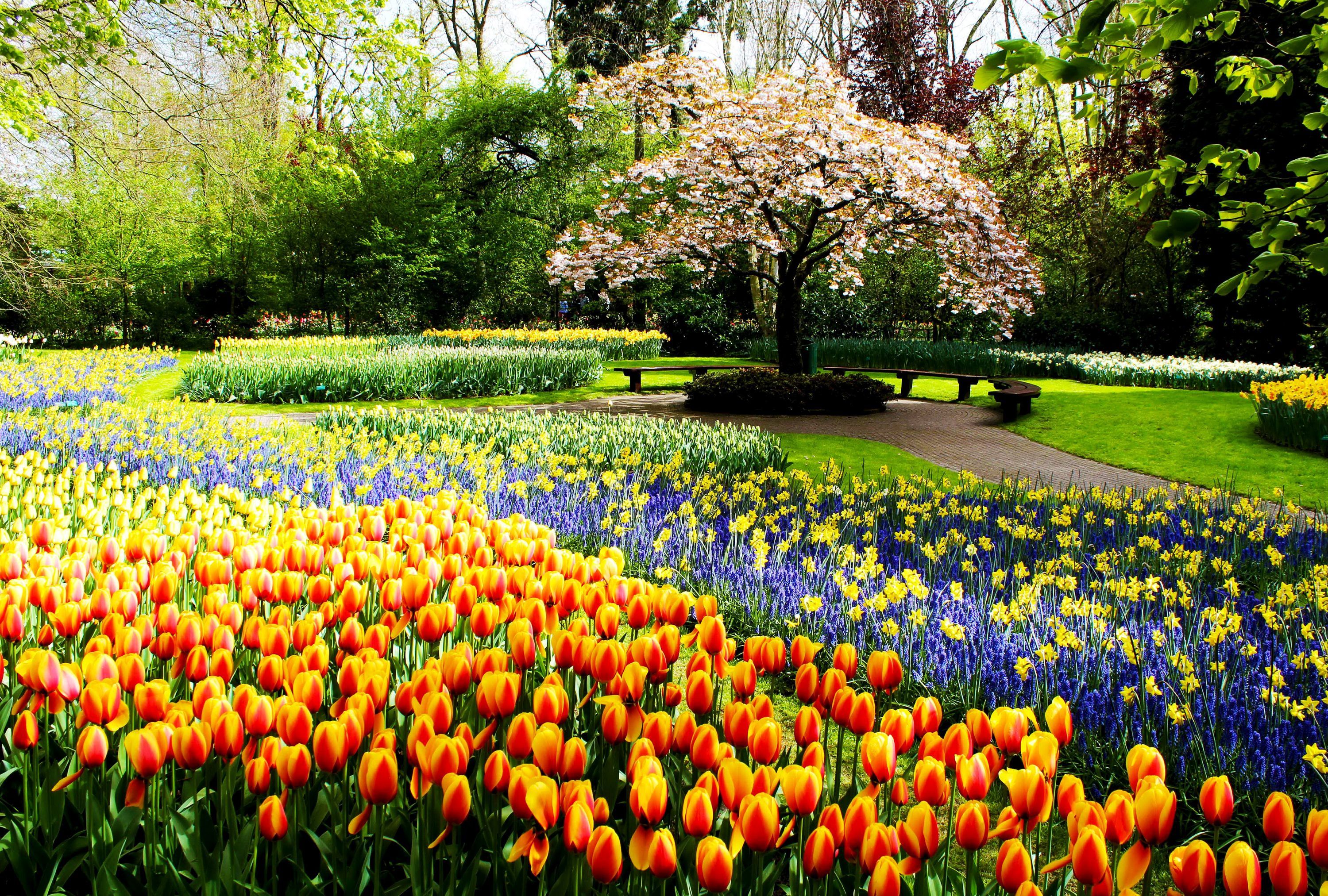 3000x2025 Spring Garden Path HD Wallpaper