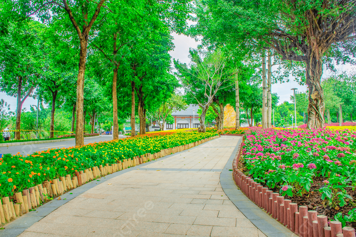 1200x800 Photography Of Flower Path In The Park, Park, Outdoor, Landscape Background Image And Wallpaper for Free Download