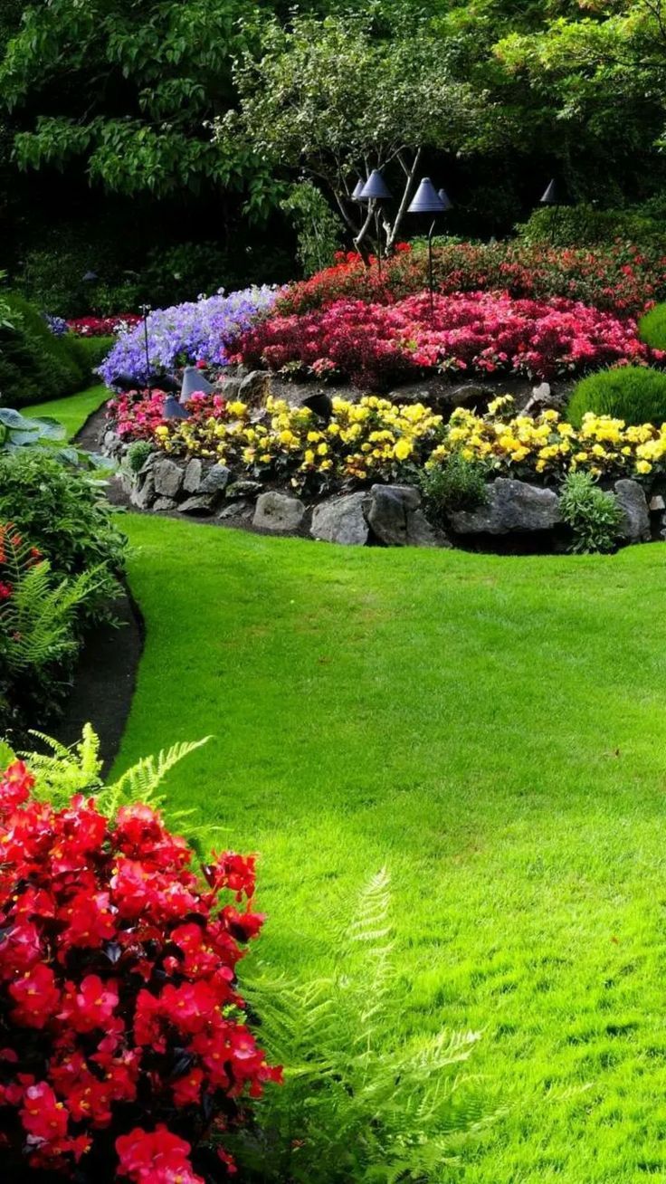 736x1308 Colorful Flower Garden with Red and Yellow Azaleas
