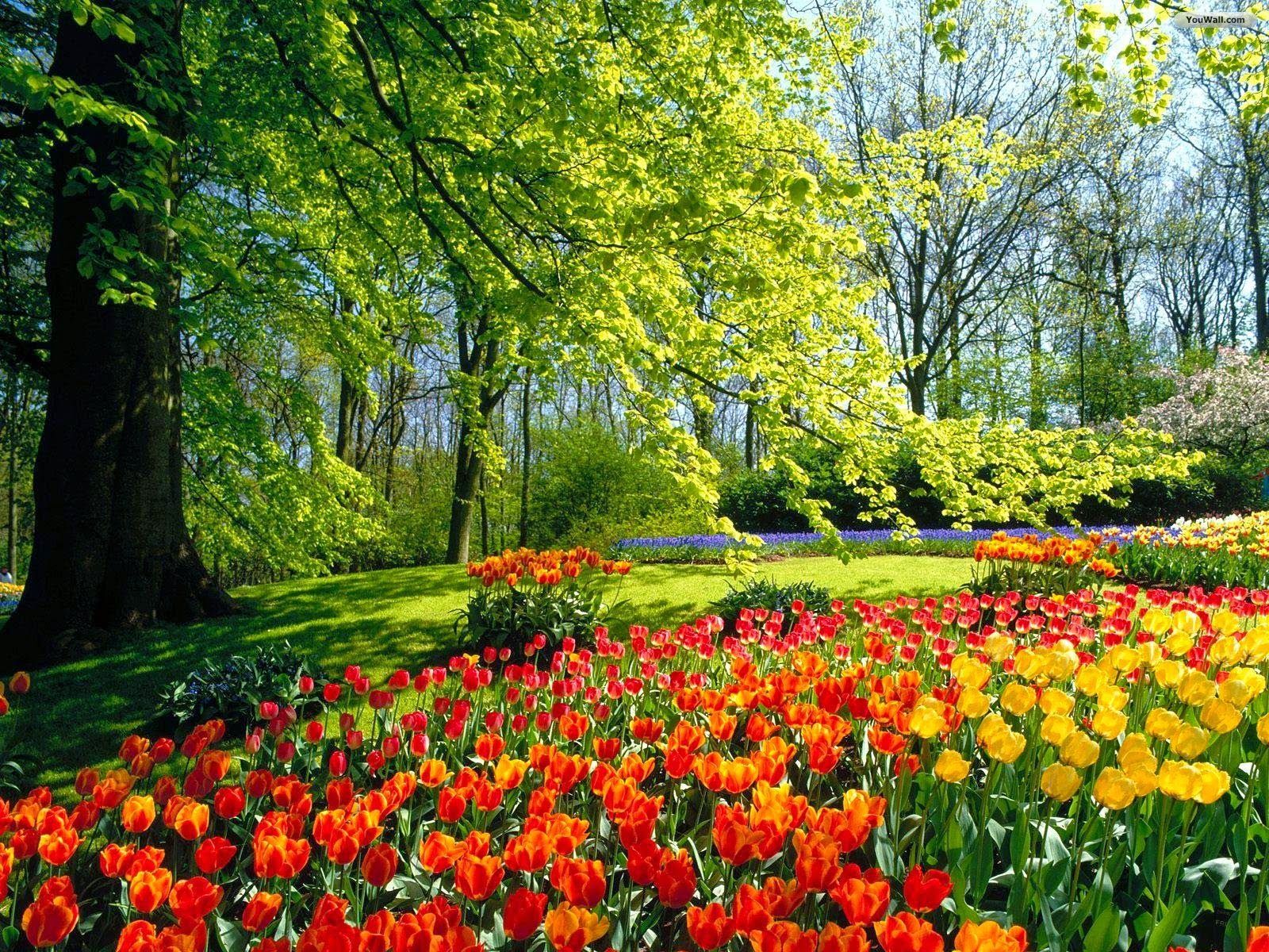 1600x1200 My Rose: 3D Flower Garden Wallpaper 2014