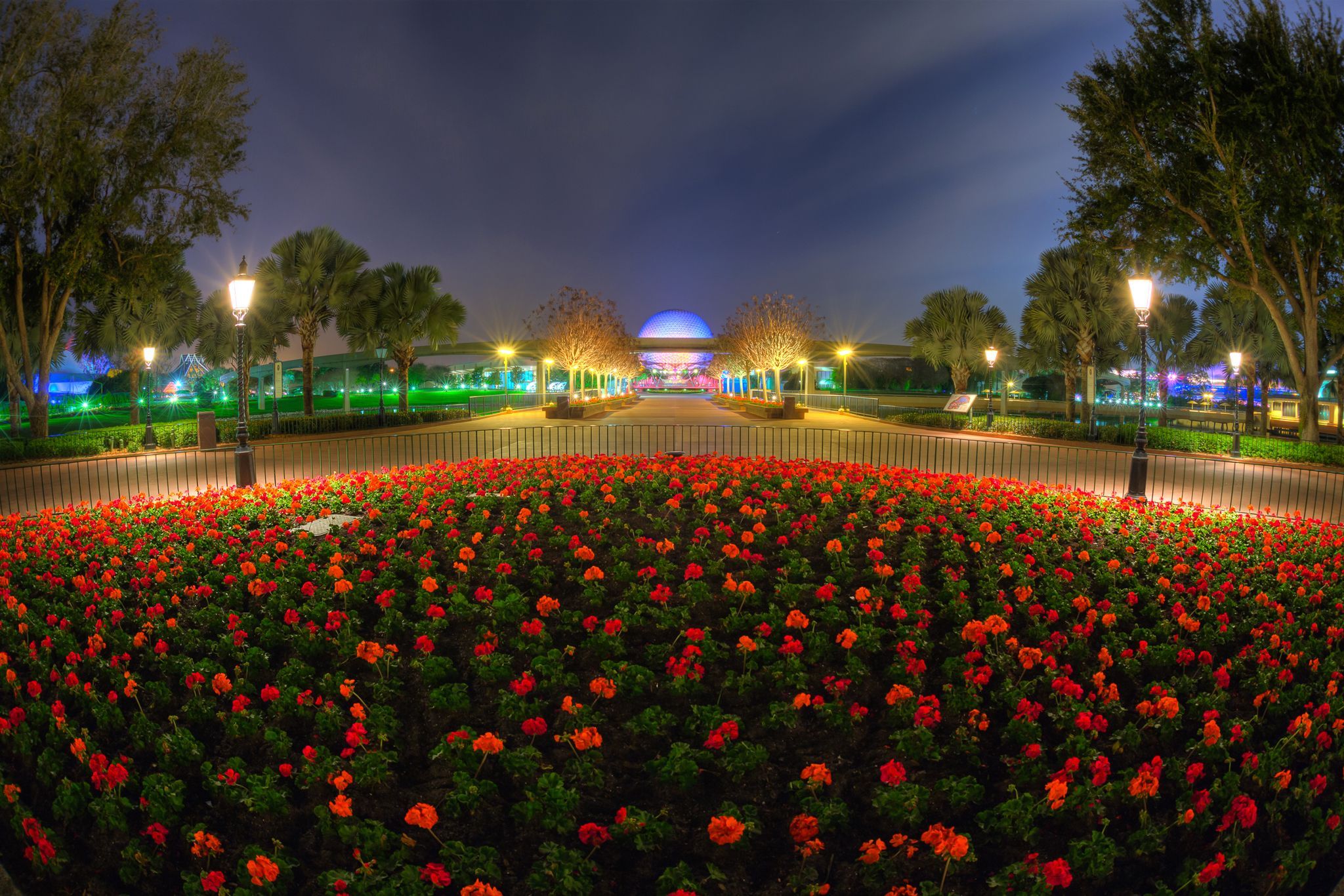 2048x1366 Night Bloom: Vibrant Flowers Greet Paris Park Under City Lights