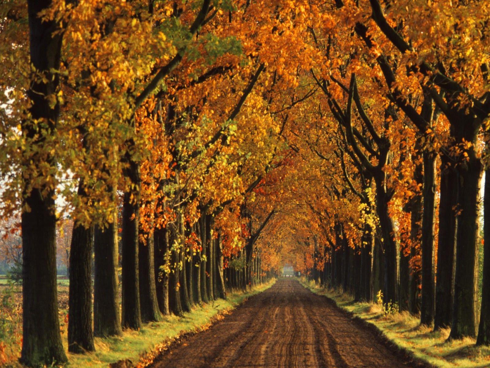 1600x1200 Fall Background For Laptop. Fall