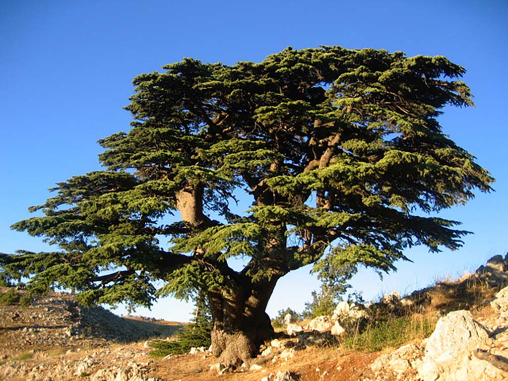 1024x768 Lebanon