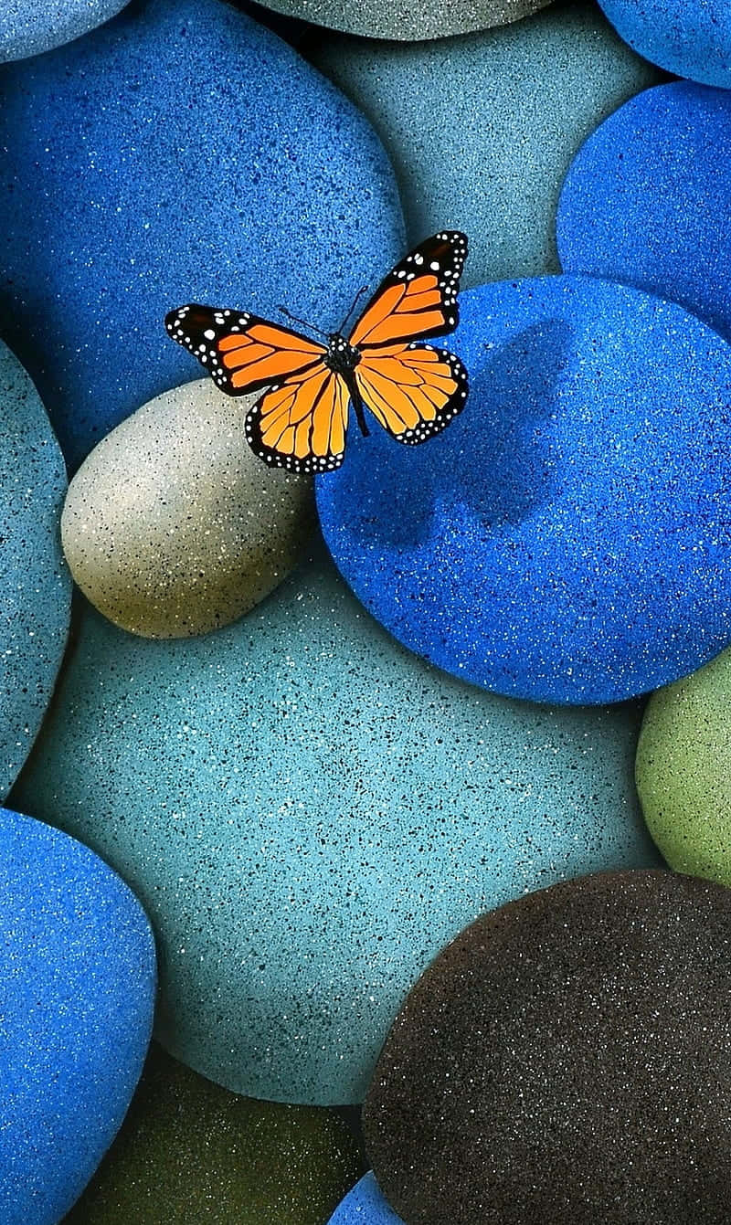 800x1341 Download A Butterfly Sitting On A Blue Pebble Wallpaper