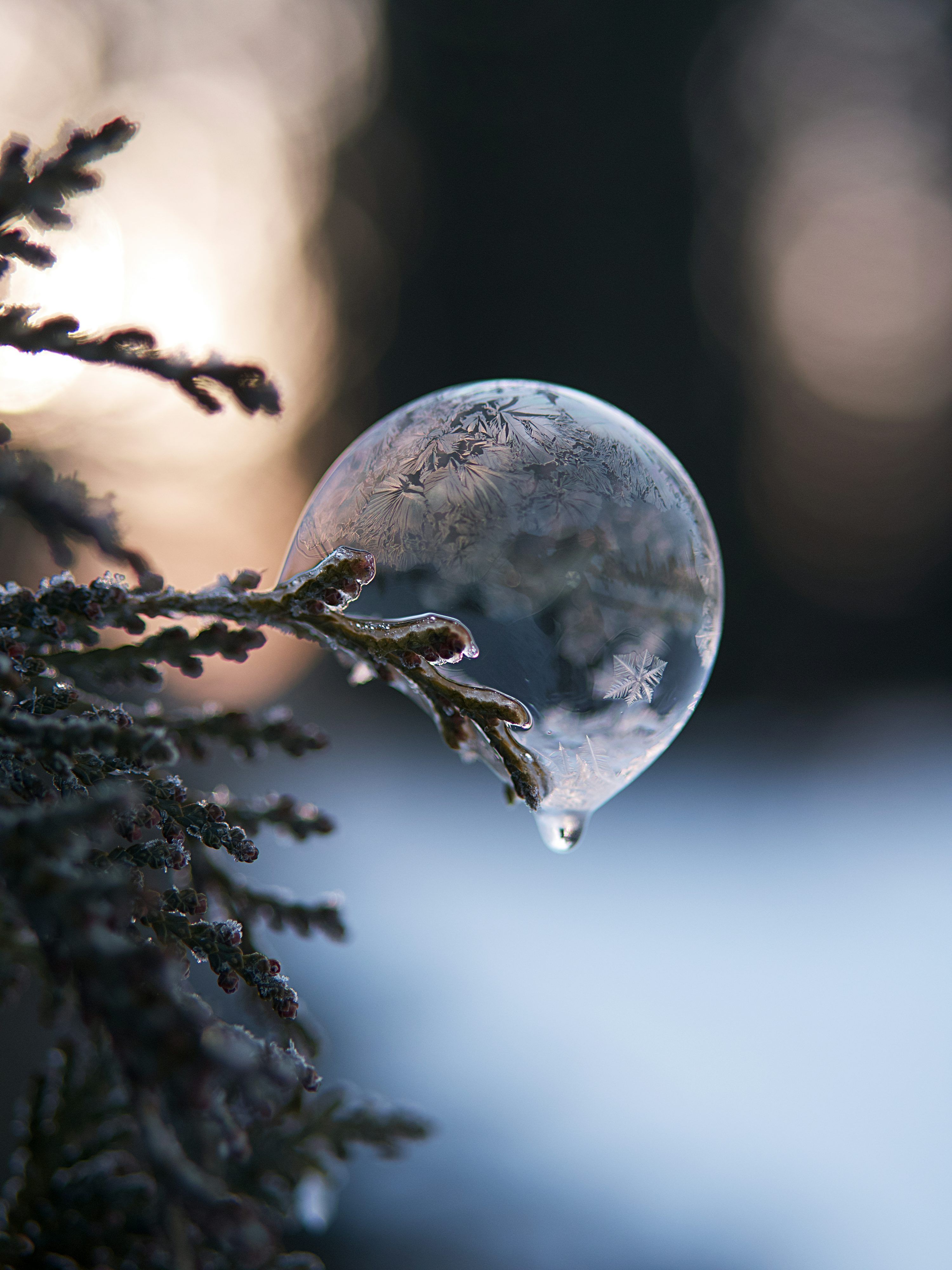 3000x4000 Small Picture [HD]. Download Free Image