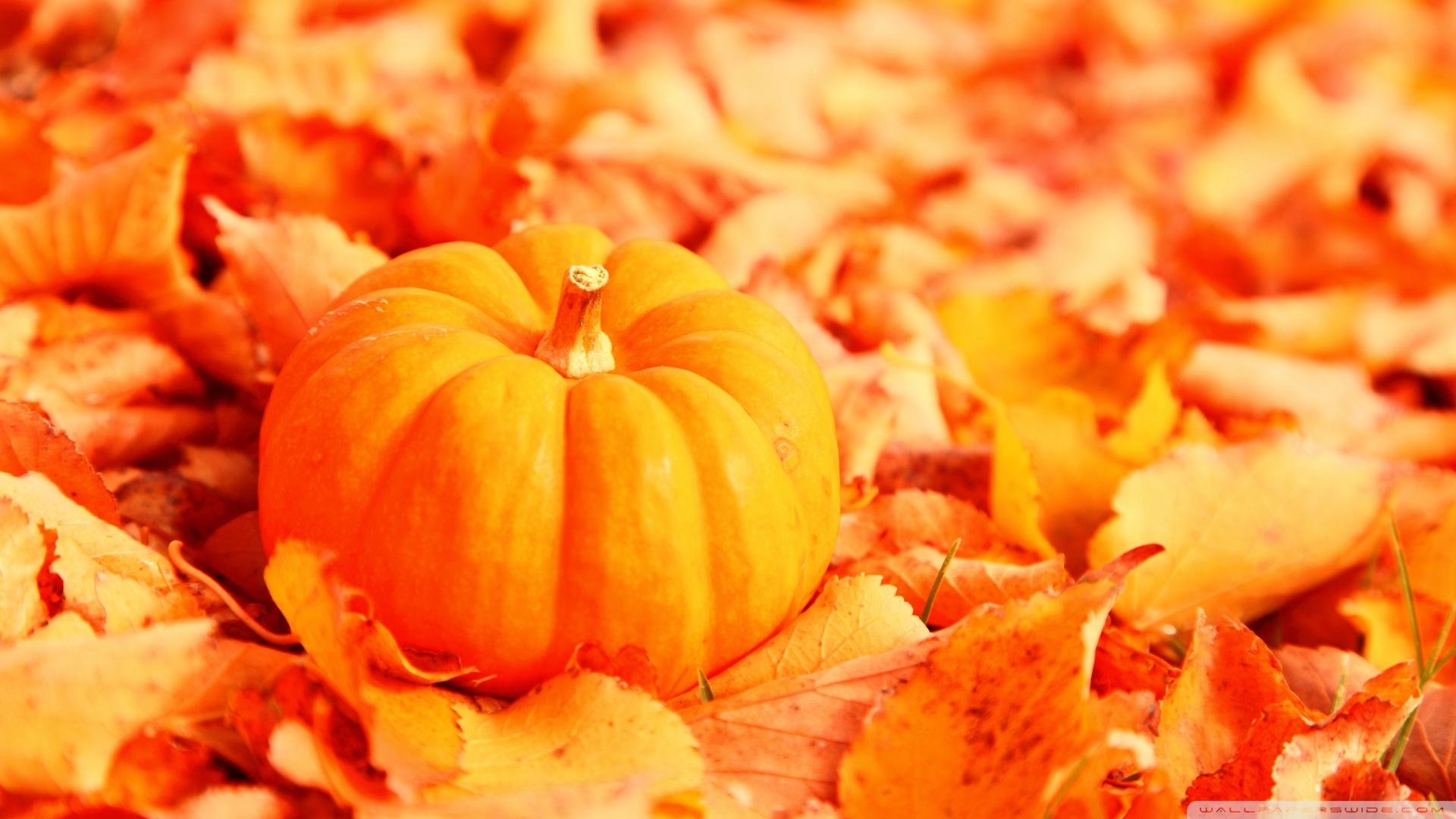 1920x1080 Fall Leaves Wallpaper Desktop