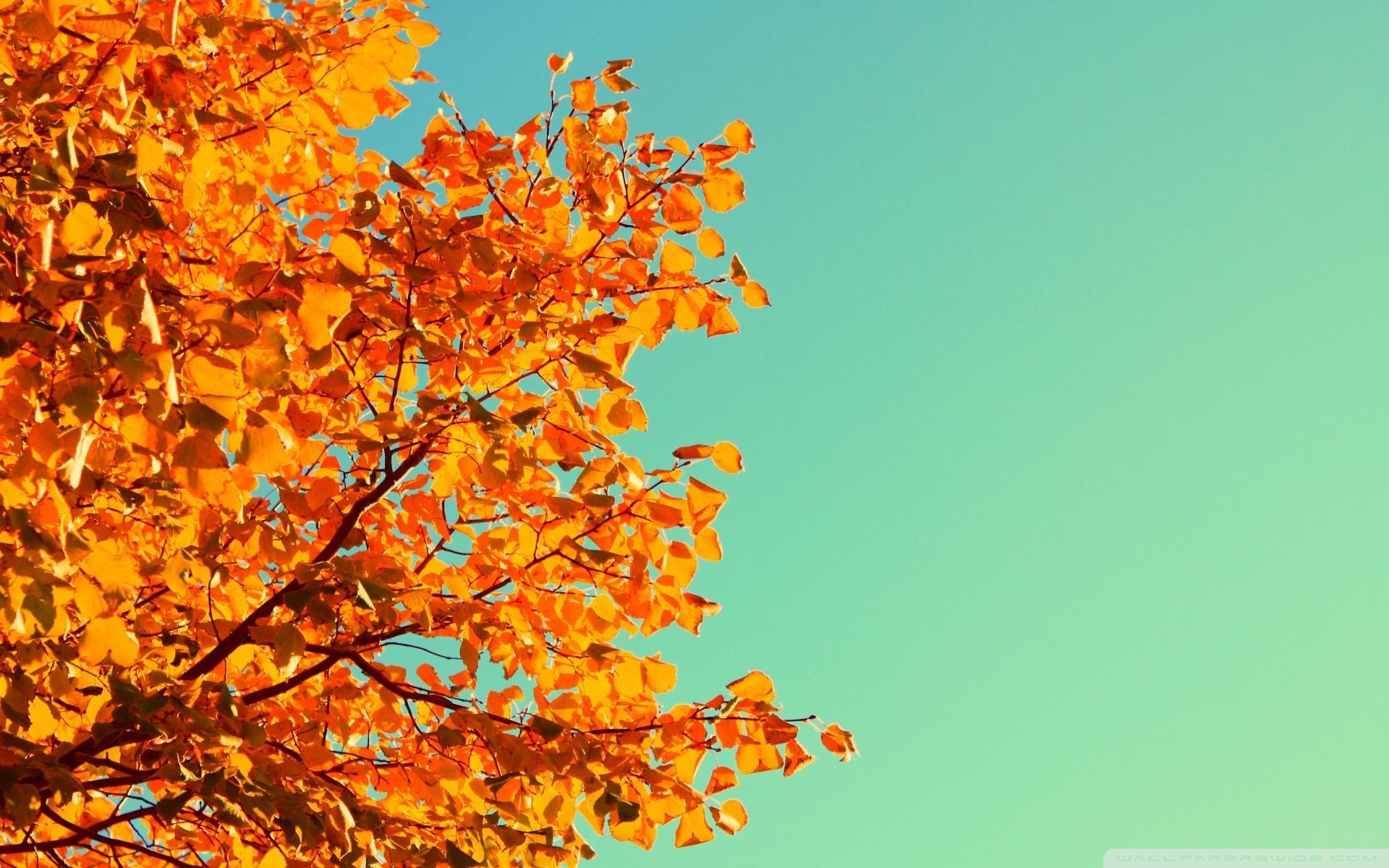 1920x1200 Fall Wallpaper Tumblr, Picture