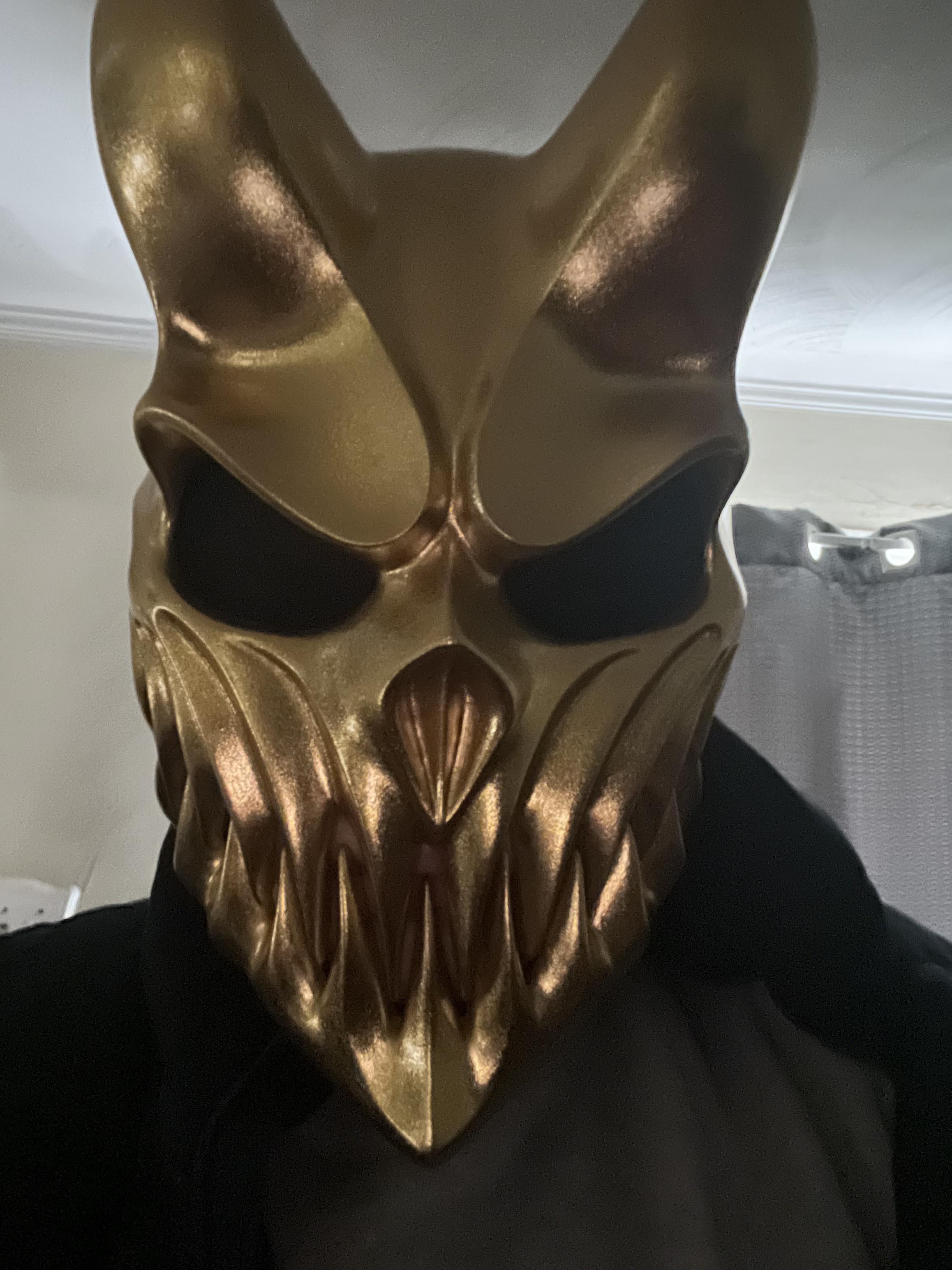 2316x3088 Alex terrible mask