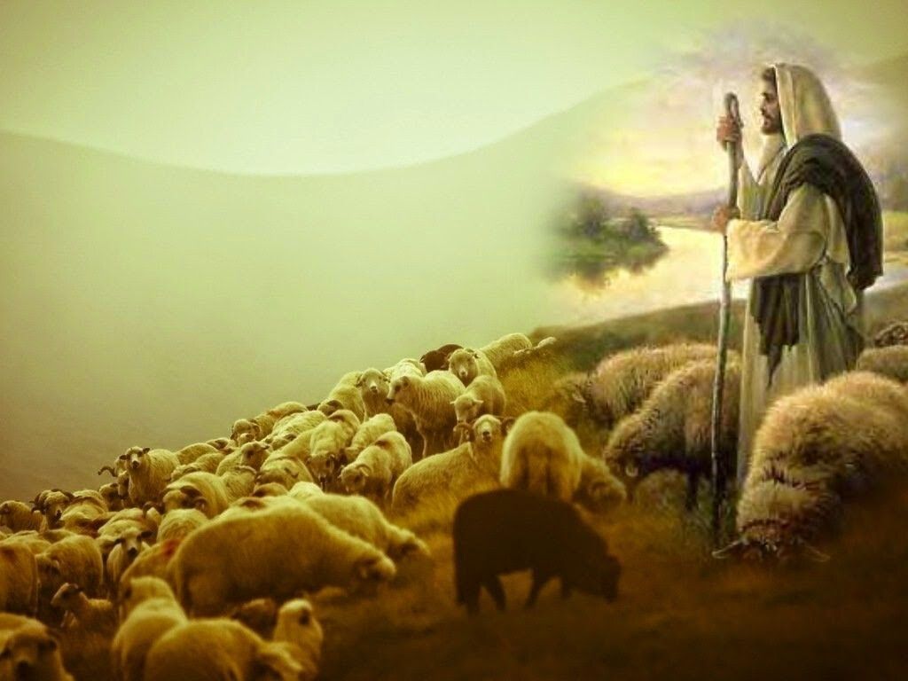 1024x768 The Good Shepherd JESUS CHRIST WITH LOST SHEEP x 10 PREMIUM SATIN PRINT