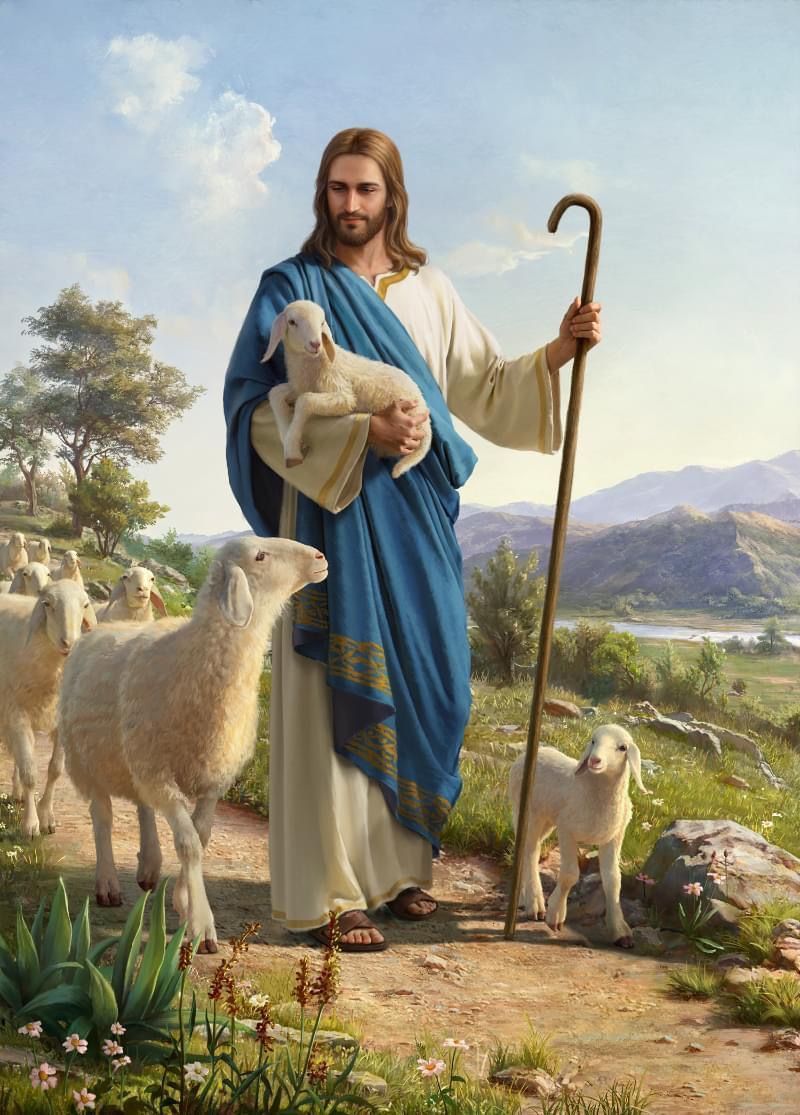 800x1115 Good Shepherd ideas. jesus picture, the good shepherd, jesus christ