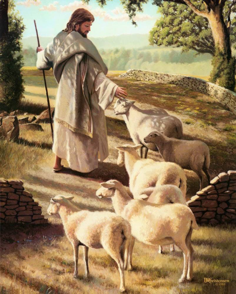 802x1000 Jesus the Good Shepherd Image