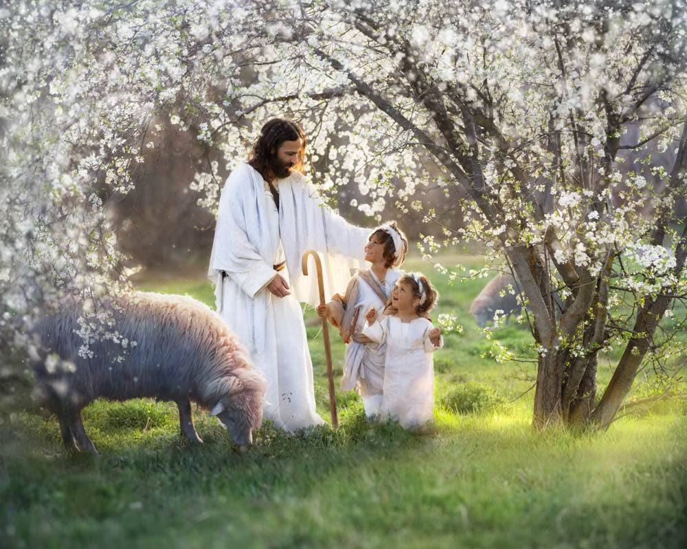 1000x800 Jesus the Good Shepherd Image