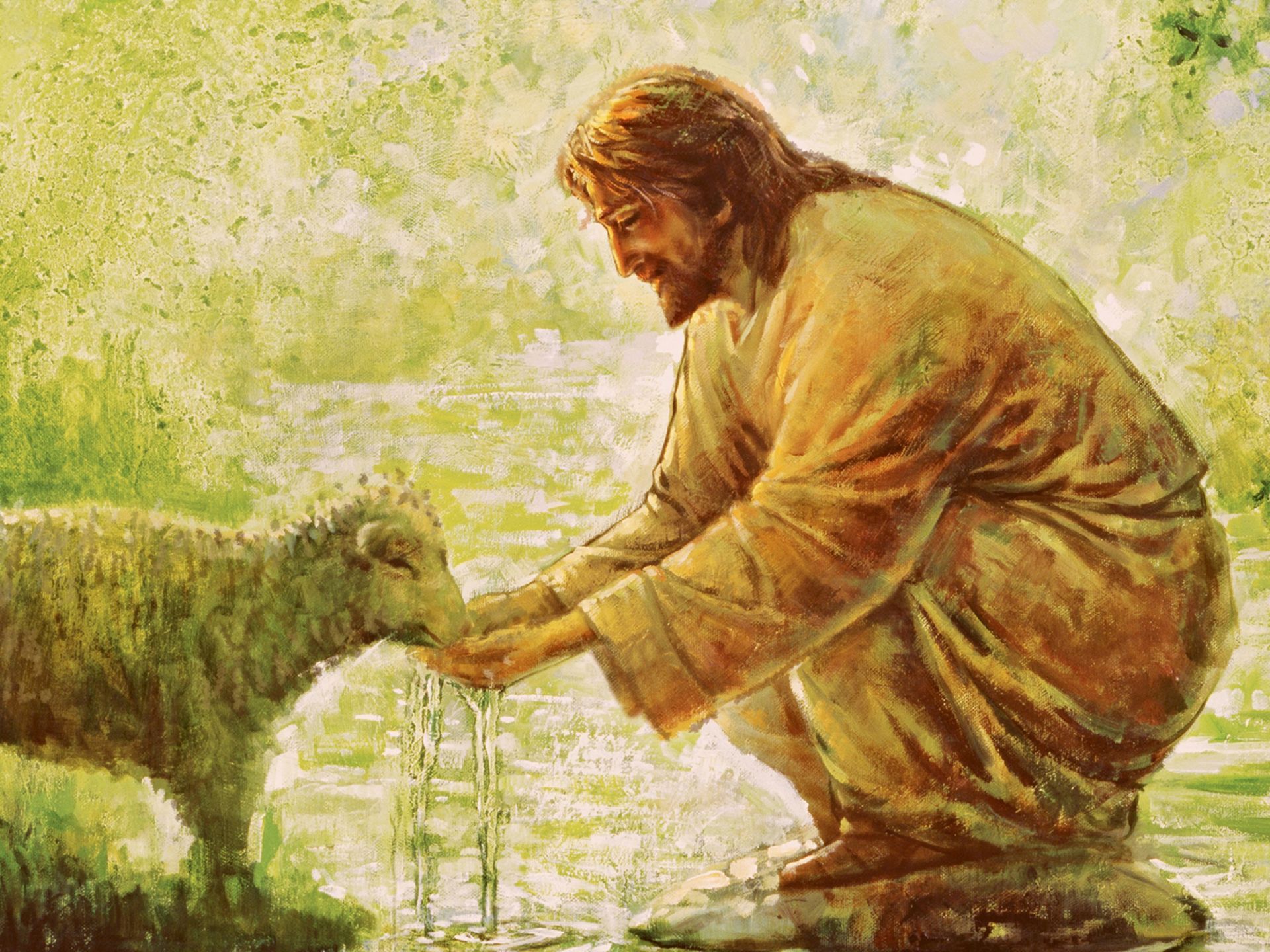 1920x1440 Gentle Shepherd