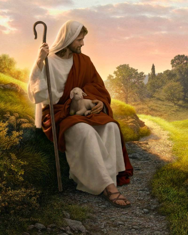800x1000 Jesus the Good Shepherd Image