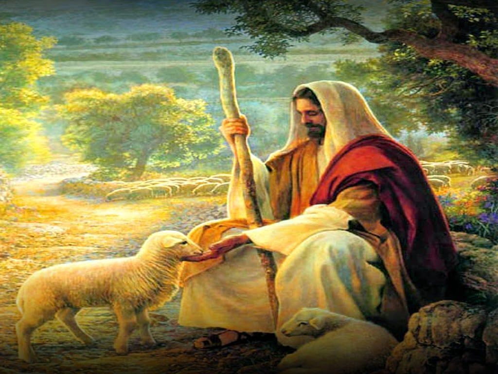 1024x768 Why is Christ the Good Shepherd?