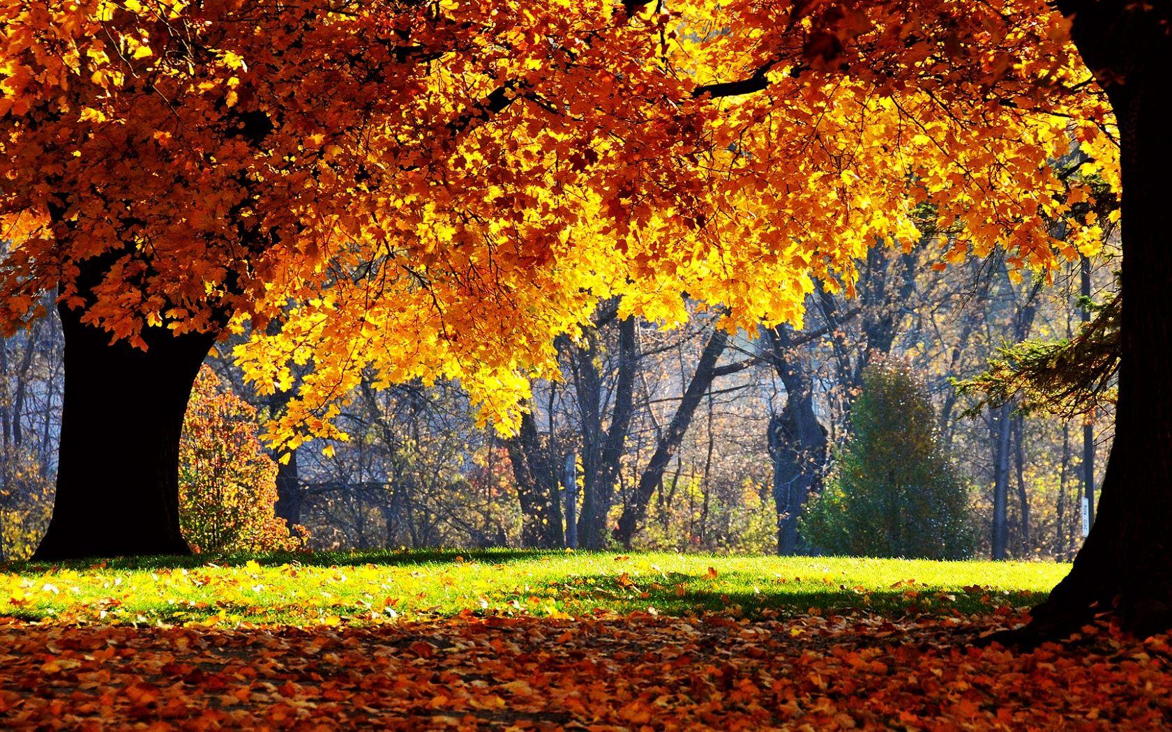 Cool Autumn Wallpapers - Top Free Cool Autumn Backgrounds - WallpaperAccess