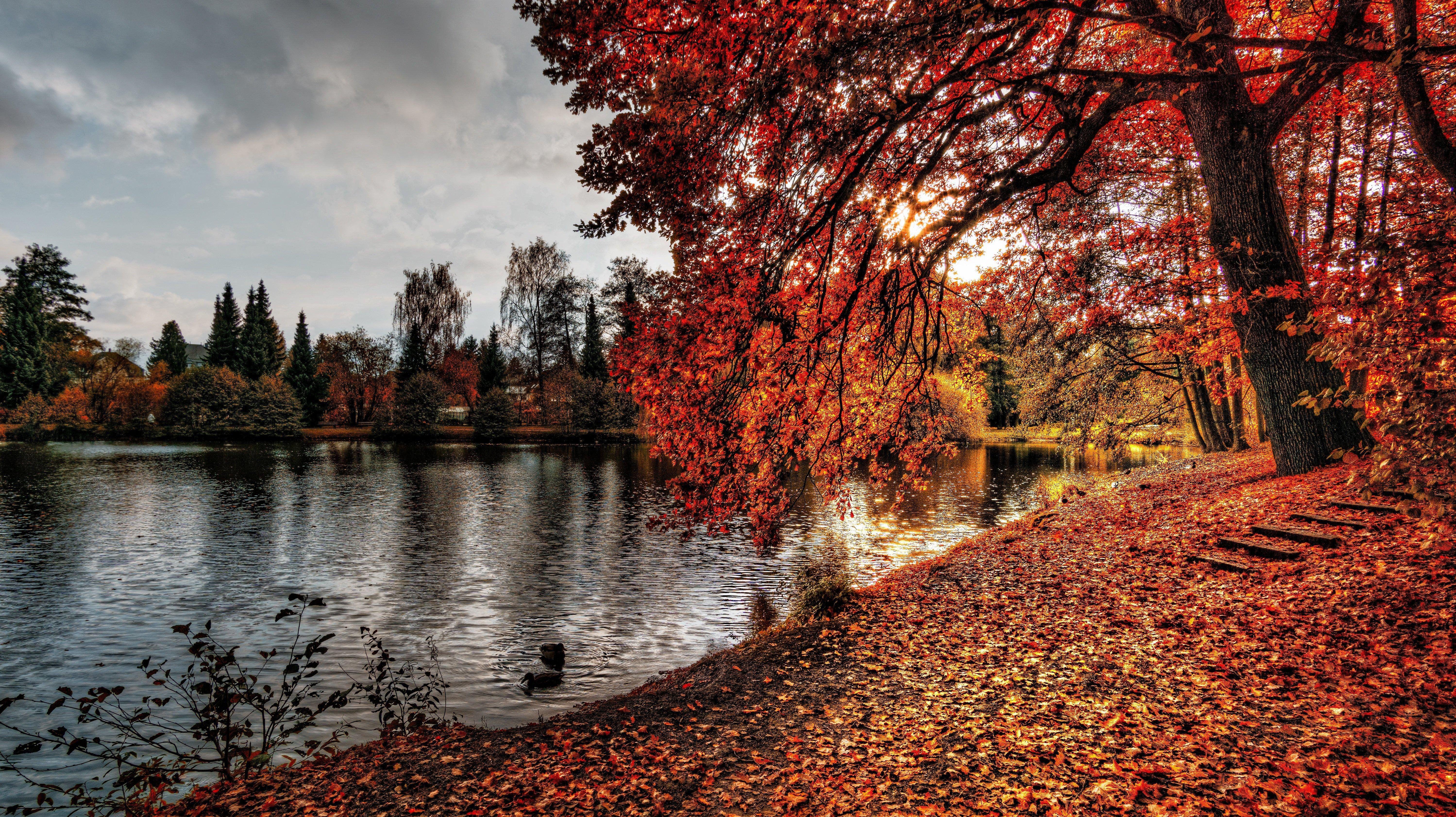 5997x3365 Hello Autumn Leaves Fall Seasons Wallpaper For Phone HD