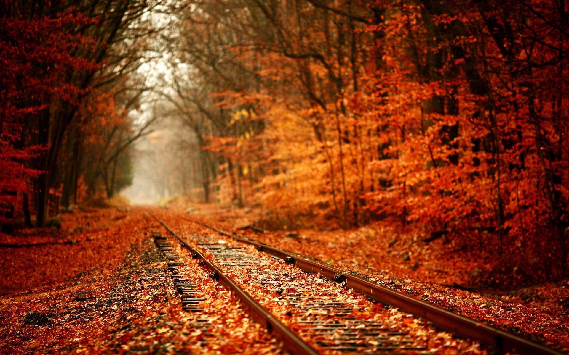 1920x1200 Desktop Wallpaper Autumn Leaves
