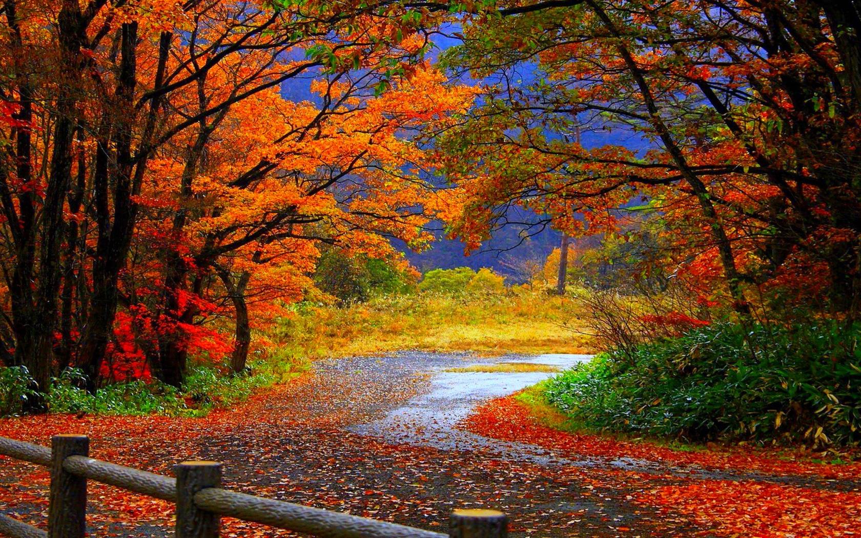 1680x1050 Cool Autumn Season Nature Wallpaper Background
