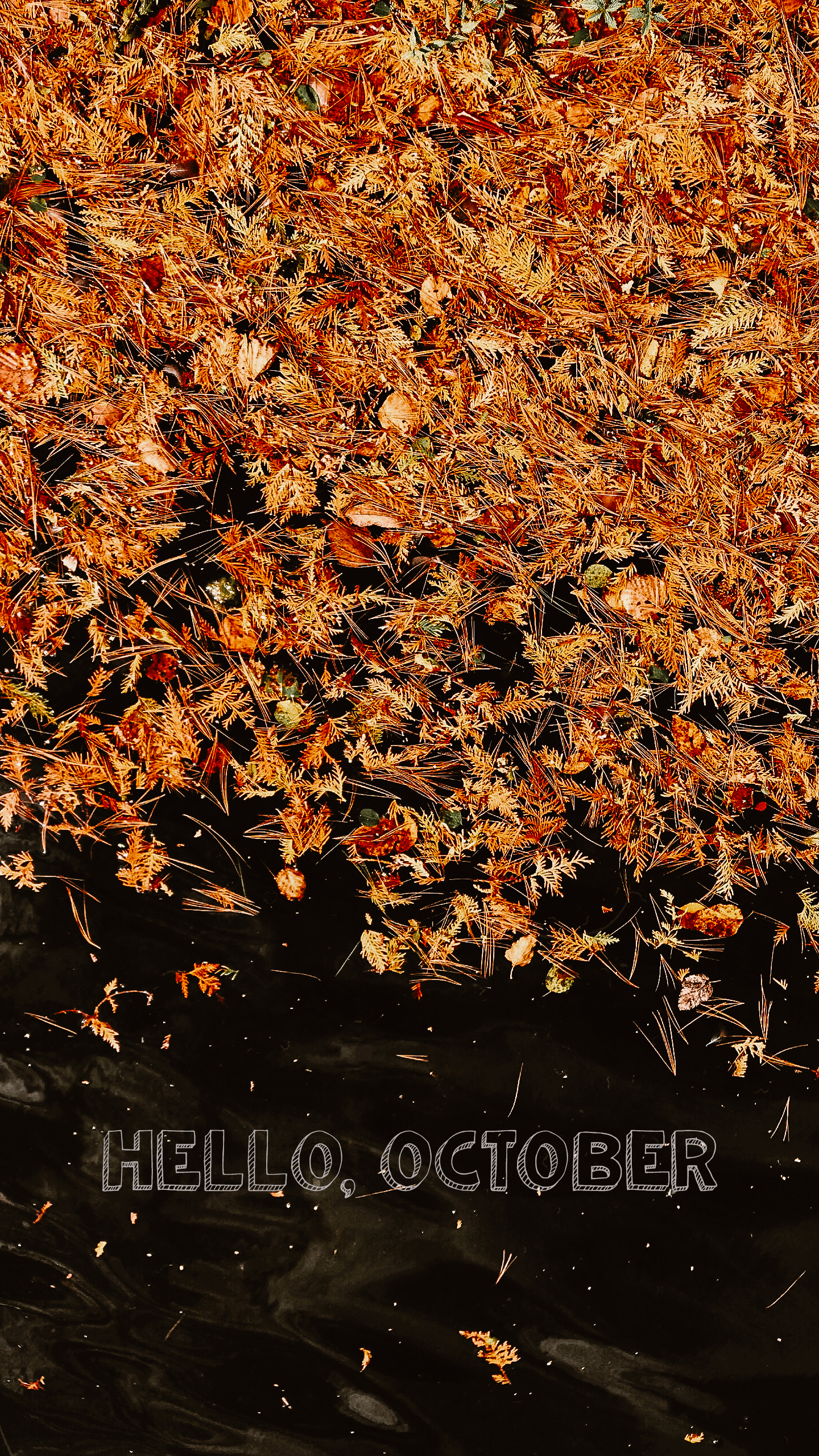 1440x2560 October Photo Background. Free iPhone & Desktop Wallpaper Download