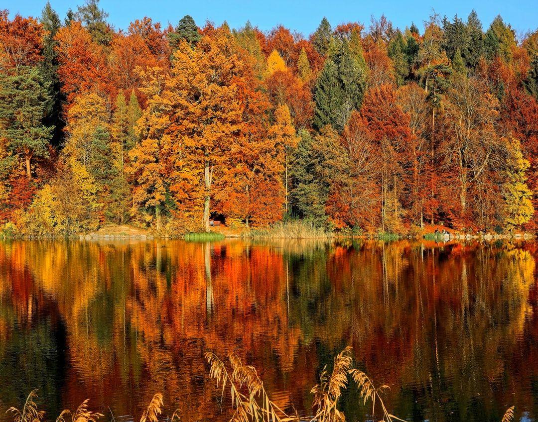 Cool Autumn Wallpapers - Top Free Cool Autumn Backgrounds - WallpaperAccess