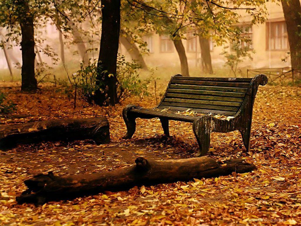 1024x768 Beautiful nature wallpaper with trees and grass