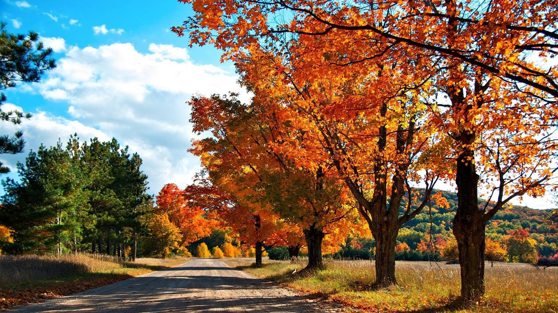 1920x1080 HD Autumn Screen Wallpaper Free HD Desktop Wallpaper Amazing