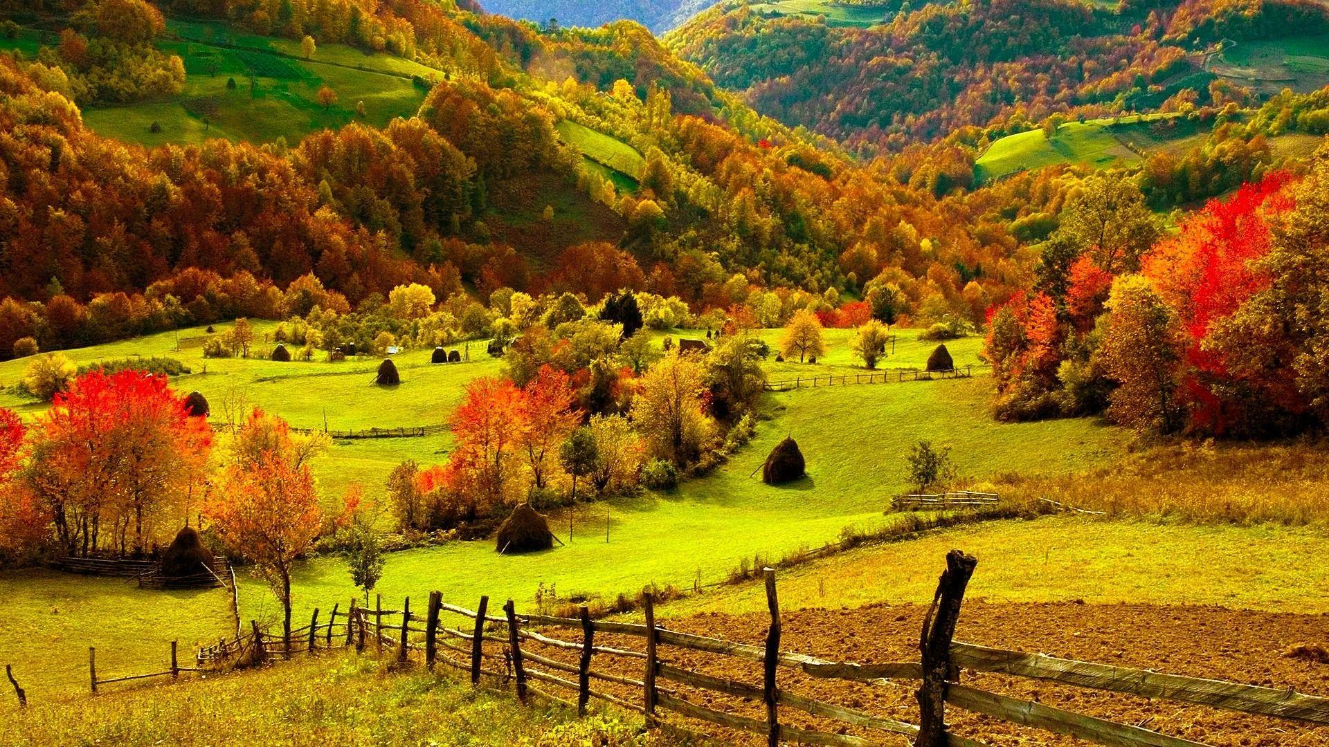 1920x1080 Autumn wallpaperx1080
