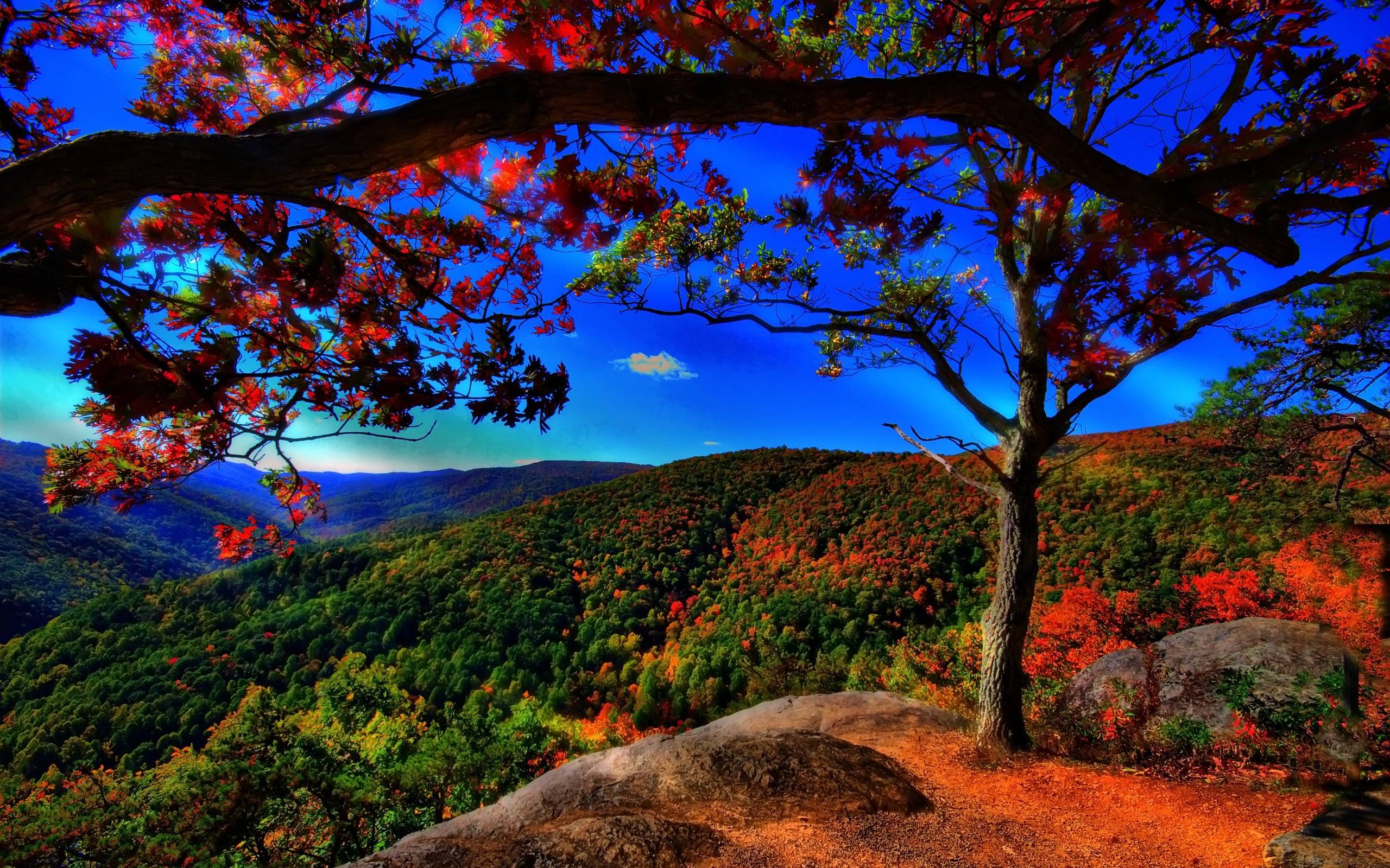 2560x1600 Quality Cool Fall Pics, Download Wallpaper