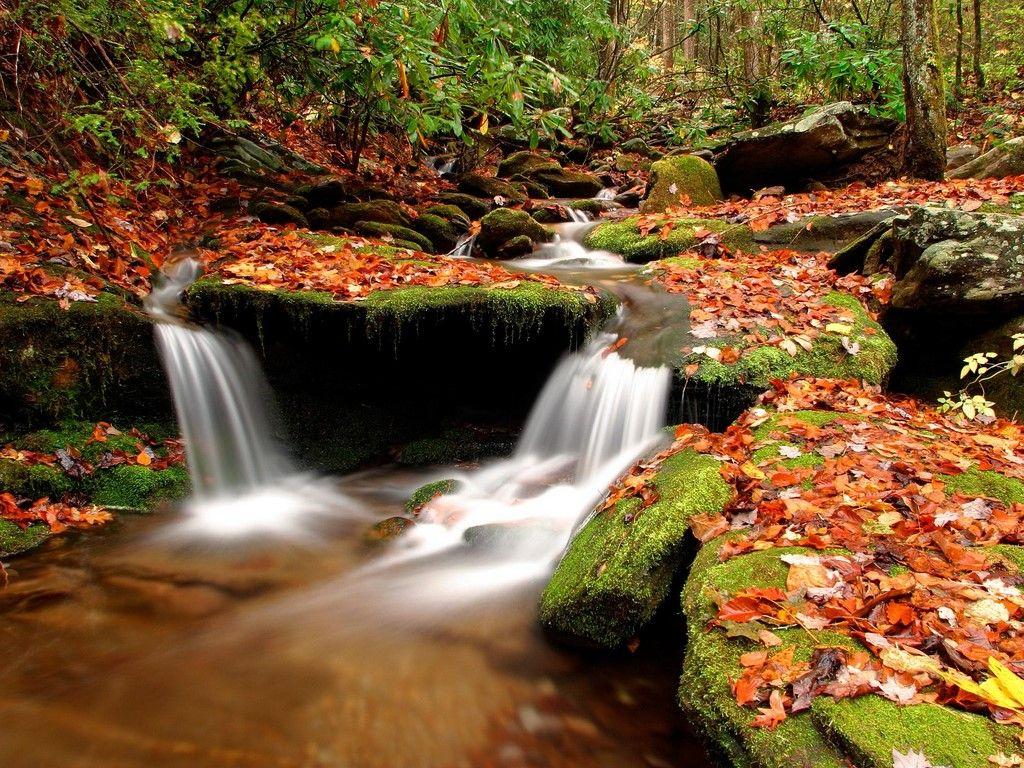 1024x768 autumn. Ever Cool Desktop Wallpaper